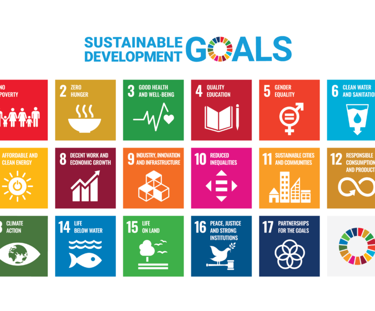 E SDG Poster 2019 without UN emblem WEB