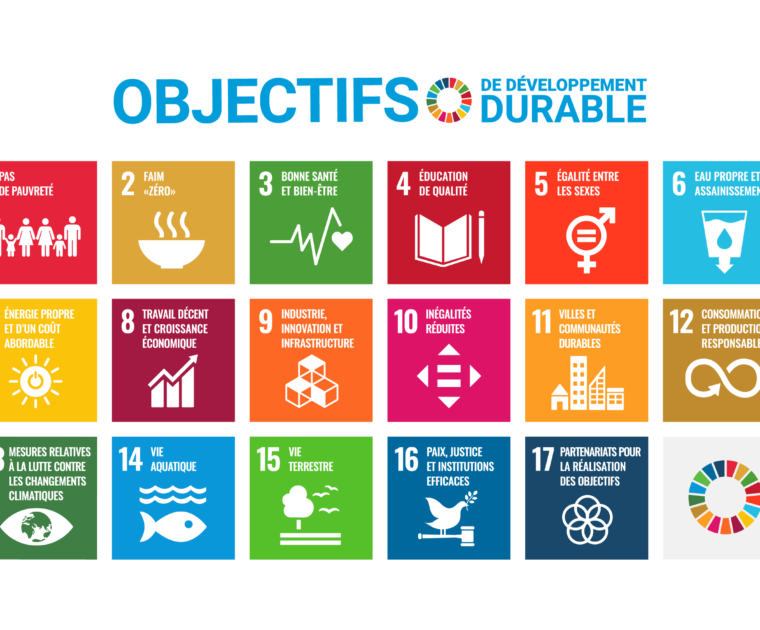 F SDG Poster 2019 without UN emblem WEB