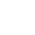 ico03